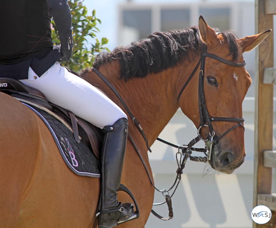 Campeonato de España de Salto de Obstáculos 2019 Was mit Pferden