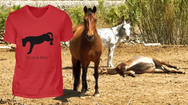 Kicks & Bites Shirts für die Unterstützung des Tierschutzes